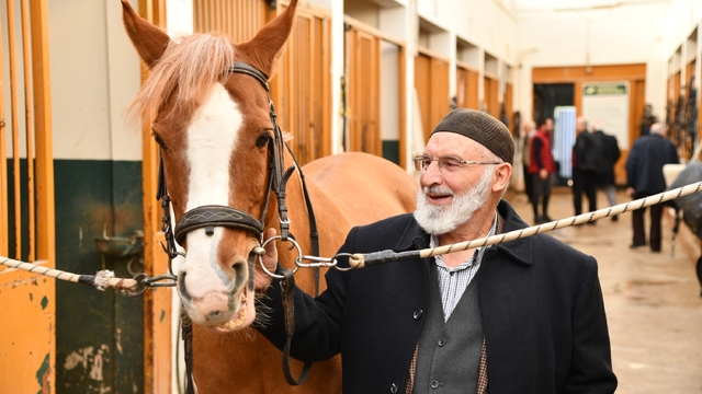 Samsun'da 25 bin yaşlıya hizmet verildi