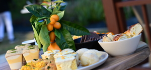 Antalya'nın tescilli portakalları tanıtıldı