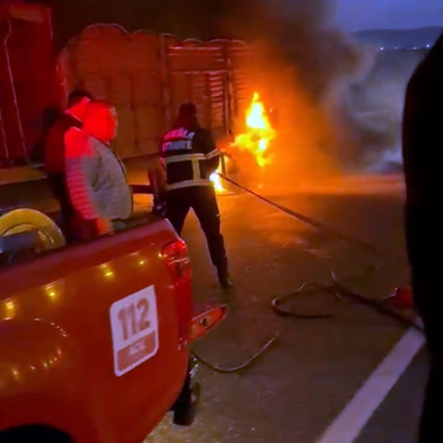 Tomruk yüklü TIR'da çıkan yangın büyümeden söndürüldü