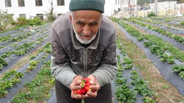 Türkiye onu yoldan geçenlere bahçesinden ikram ettiği meyvelerle tanıdı, bugün acı haber geldi
Son nefesini de ziyaretçiler rahat girsin diye bahçe girişine beton dökerken verdi
Hayır Bahçesi ile tanınan İbrahim dede bahçesinde fenalaşarak hayatını kaybetti