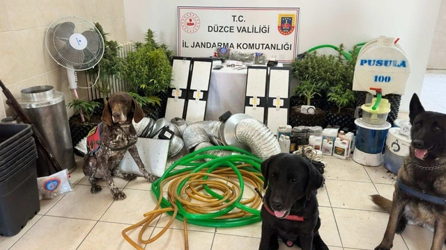 Düzce'de evinin çatı arasına kurduğu düzenekle uyuşturucu bitki yetiştiren şüpheli yakalandı