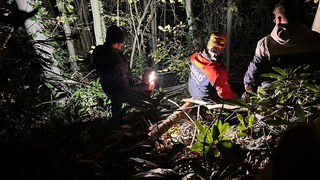 Sakarya'da kesim esnasında üzerine ağaç devrilen orman işçisi yaralandı