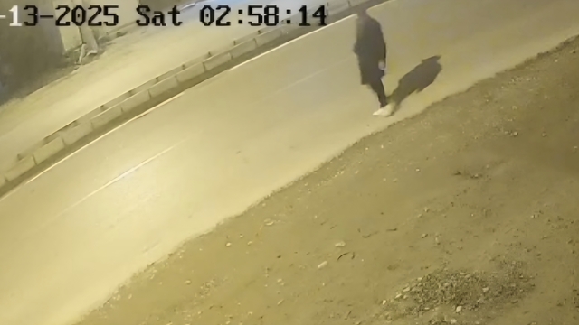 Hatay'da silahla yolda yürüyen şüpheli yakalandı