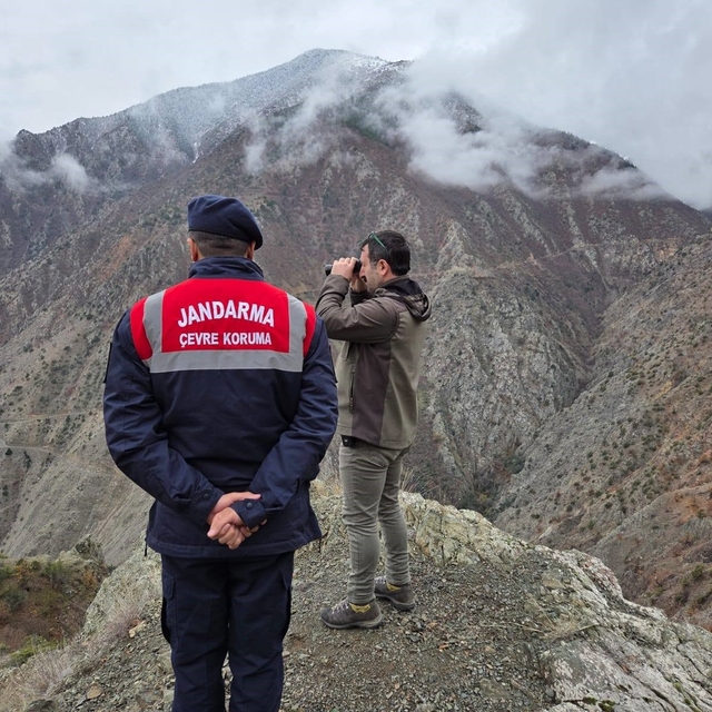 Artvin'de kaçak ve usulsüz avcılığa yönelik denetimler sürüyor