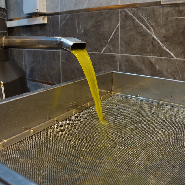 Zeytinyağı fiyatları belli oldu, fiyatlarda artış yaşandı