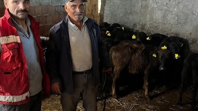 19 Mayıs'ta hayvan sağlığı çalışmaları sürüyor