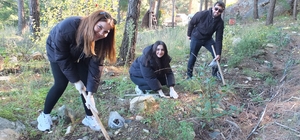 Kazdağlarında Bal Ormanına üniversiteli desteği