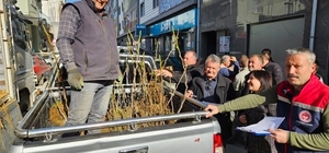 Germencik’te üreticiye 4 bin sertifikalı fidan desteği