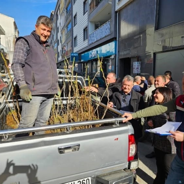 Germencik'te üreticiye 4 bin sertifikalı fidan desteği