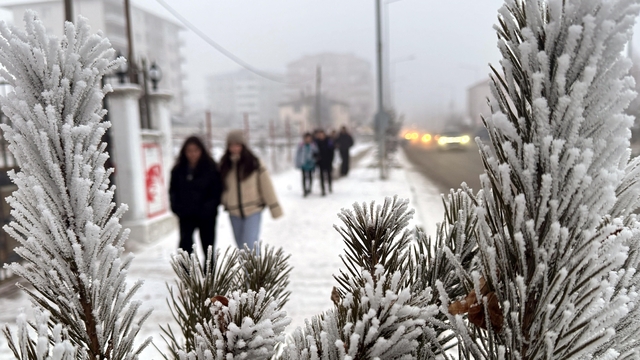 Kars, Ardahan ve Ağrı'da dondurucu soğuklar etkisini sürdürüyor