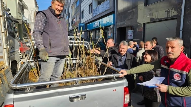 Germencik'te üreticiye 4 bin sertifikalı fidan desteği