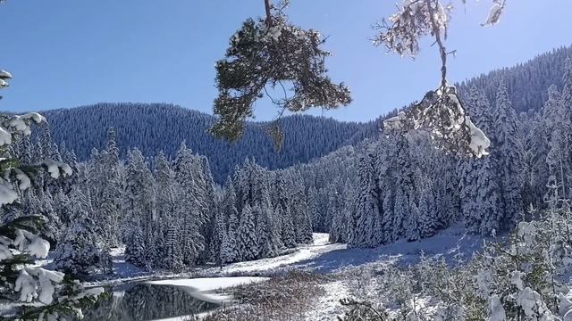 Sarıçiçek Göleti buz tuttu