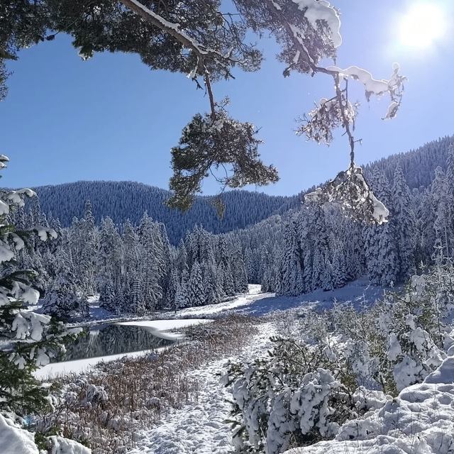 Sarıçiçek Göleti buz tuttu