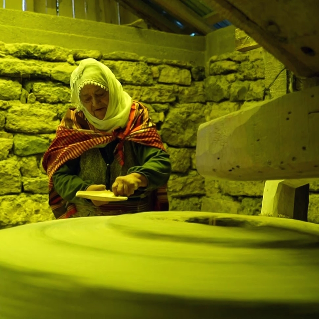 Tarihi değirmenler dönüyor, mısır unu gurbet yollarına çıkıyor