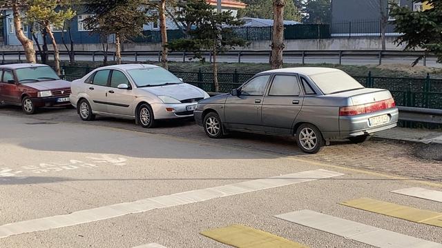 Soğuk hava sebebiyle çimler ve otomobil camları buz tuttu