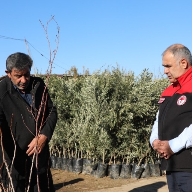Elazığ'da fidancılık işletmelerine denetim