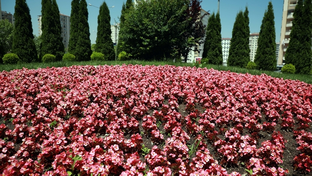 Talas 2026'da rengarenk olacak