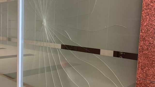 Ağabeyi ceza aldı, karar sonrası mahkeme salonunun camına yumruk attı