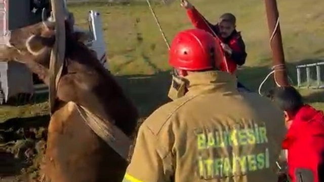 Balıkesir'de kuyuya düşen inek kurtarıldı