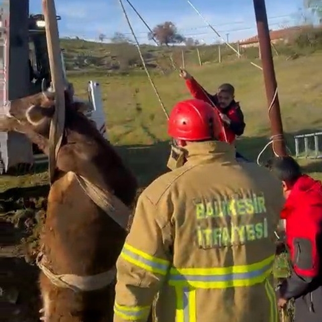 Balıkesir'de kuyuya düşen inek kurtarıldı