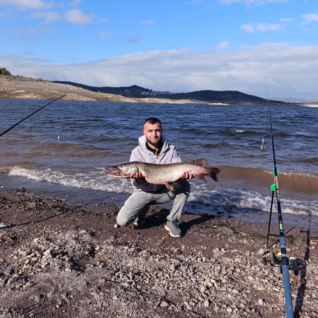 Sındırgı'da dev sazan balığı yakalandı
Sazan yakalayan balıkçıları Karaca i...