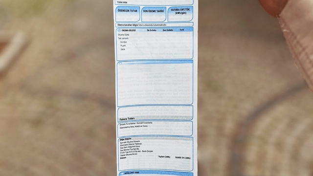 Yardımsever iş insanı, binden fazla abonenin elektrik faturasını ödedi
Bursa'da anlamlı dayanışma, binden fazla abonenin elektrik faturası karşılandı