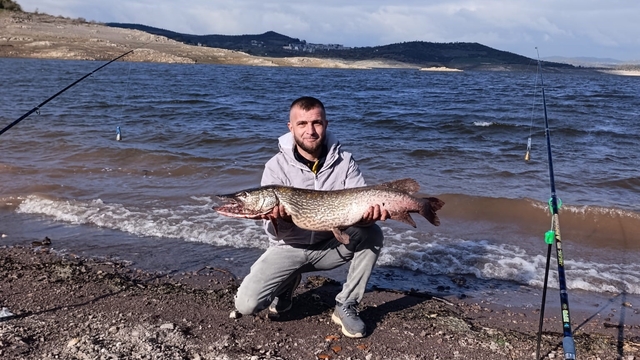 Sındırgı'da dev sazan balığı yakalandı
Sazan yakalayan balıkçıları Karaca izledi