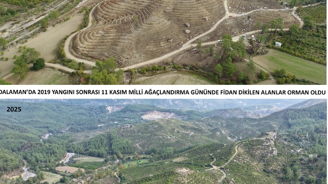 Kara tablo, 6 yılda yeşil örtüye dönüştü