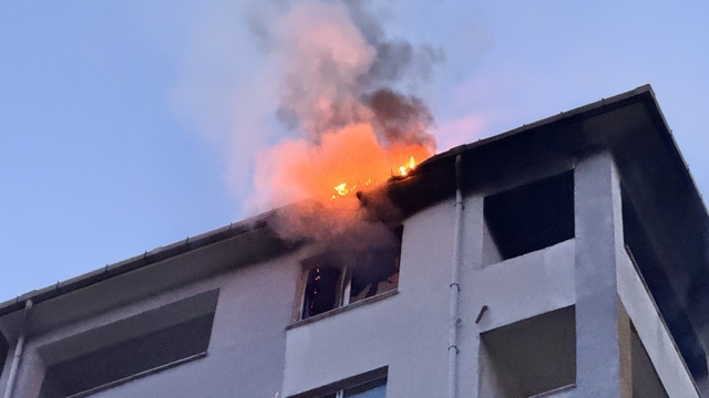 Edirne'de dairede çıkan yangın çatıya  sıçradı