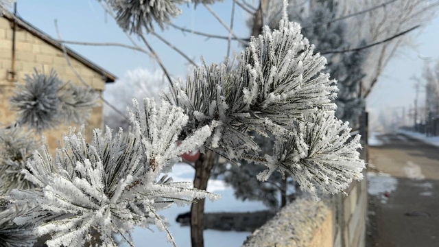 Araçlarını soğuktan korumak için battaniyelerle örtüyorlar
Ağrı'da soğuk hava yaşamı olumsuz etkiliyor