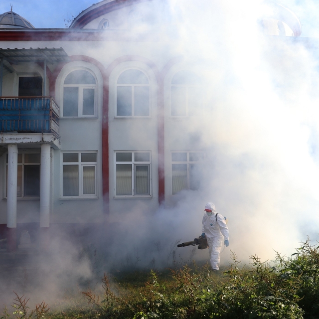 Kahverengi kokarca kışlak mücadelesi sürüyor