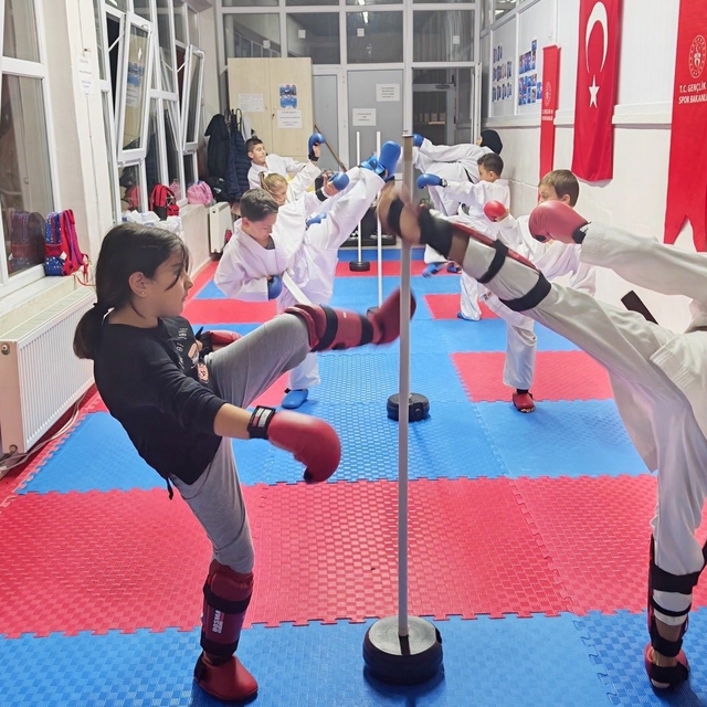 Bilecik'te karate spor okullarında yoğun tempo