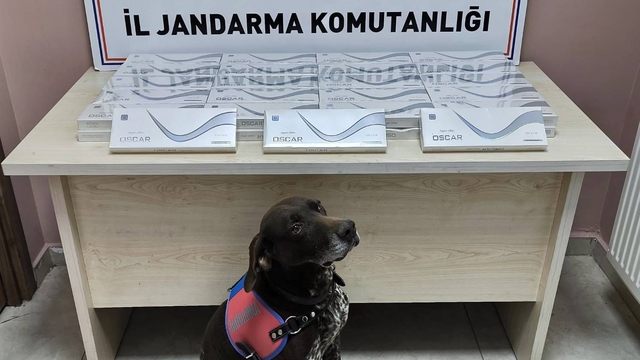 Yol kontrolünde 930 paket kaçak sigara ele geçirildi