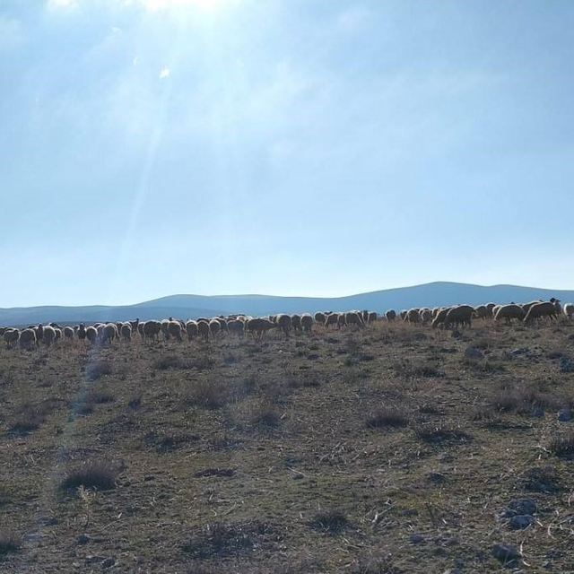 Geçici maden arama izni verilen meralarda kontroller yapıldı