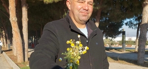 Sarıgöl’de zemheri papatyaları açtı