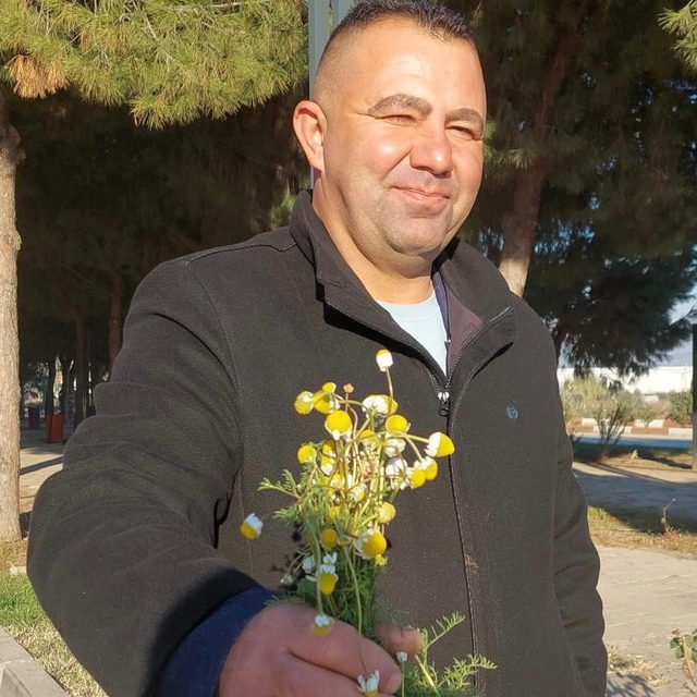 Sarıgöl'de zemheri papatyaları açtı