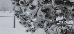 Ardahan'da dondurucu soğuklar etkisini artırdı: Ağaçlar kırağı tuttu