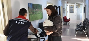 Sinop'ta hayvan kimliklendirme istatistikleri