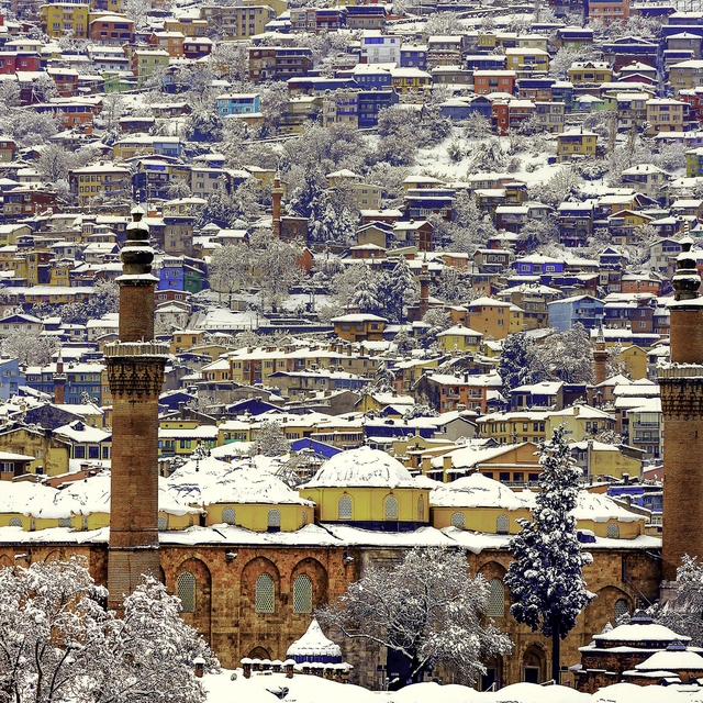 Bursa Ulu Cami dünya finalinde "Viki Anıtları Seviyor"da Türkiye birincisi...