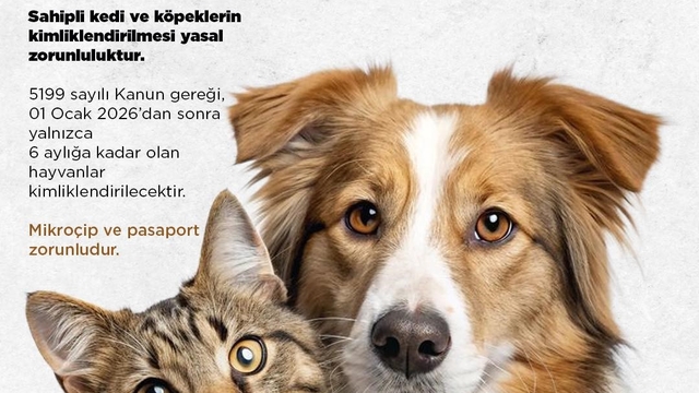 Niğde Belediyesi'nden kedi ve köpek sahiplerine uyarı: Son başvuru 31 Aralık 2025