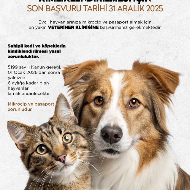 Niğde Belediyesi'nden kedi ve köpek sahiplerine uyarı: Son başvuru 31 Aralı...