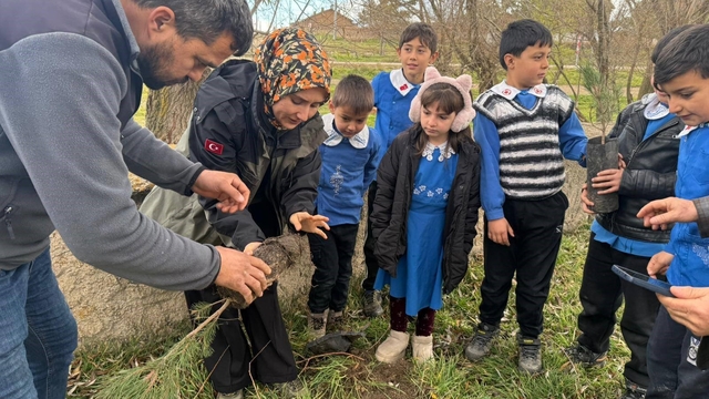 Altıntaş'ta öğrenciler fidanları toprakla buluşturdu