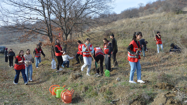 Genç Kızılay gönüllüleri Havza'da fidan dikti