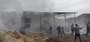 Malatya'da besi çiftliğinde yangın