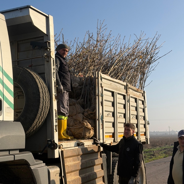 Bandırma'nın 55'inci kırsal mahallesinde 350 ağaç toprakla buluştu
Karaçalı...