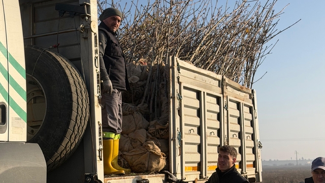 Bandırma'nın 55'inci kırsal mahallesinde 350 ağaç toprakla buluştu
Karaçalılık Mahallesi girişine 1 kilometrelik yeşil hat