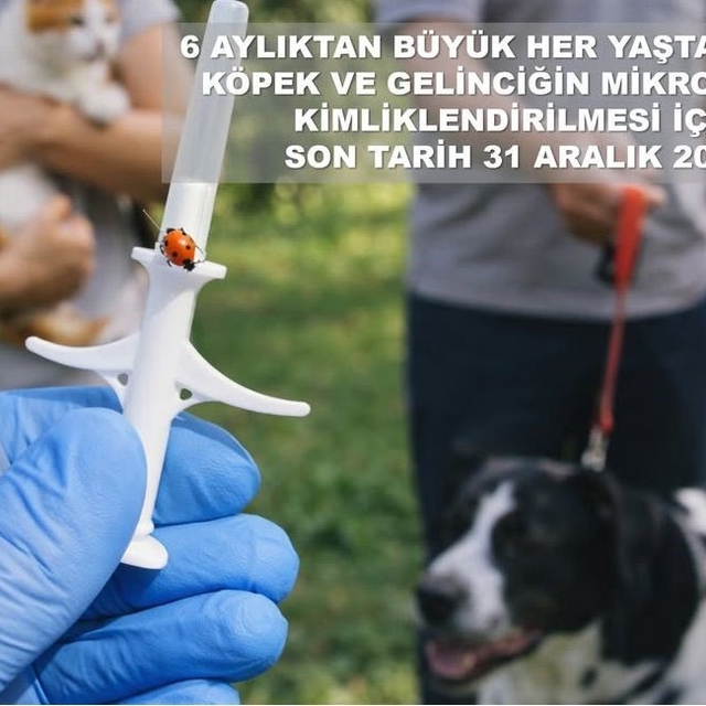 Valilikten evcil hayvan uyarısı