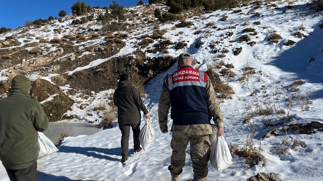Siirt'te yaban hayvanlarına 750 kilo yem bırakıldı