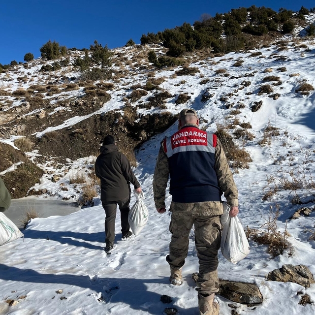 Siirt'te yaban hayvanlarına 750 kilo yem bırakıldı