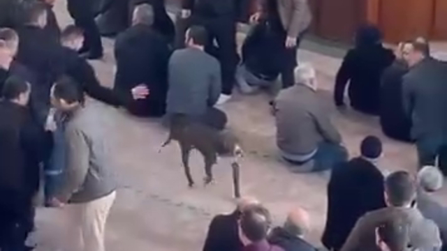 Cuma vaazı sırasında camiye pitbullun girdiği anlar kamerada